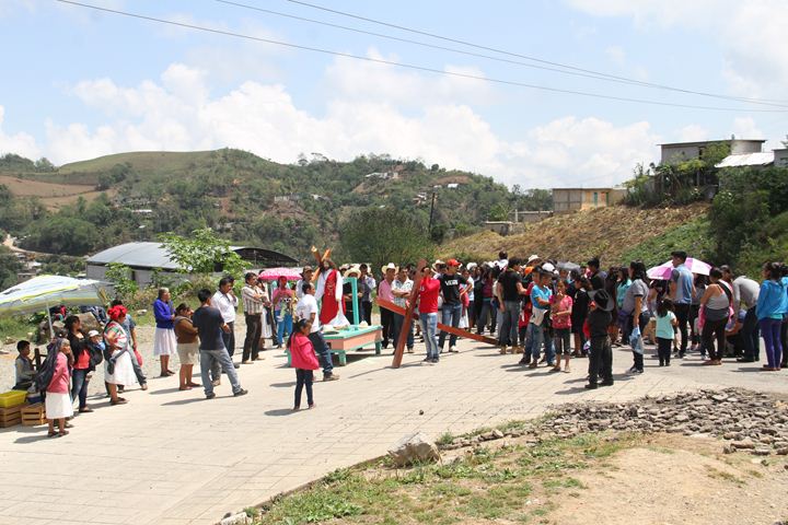 Ir a la Siguiente Foto