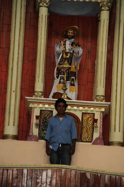 Ir a la Siguiente Foto