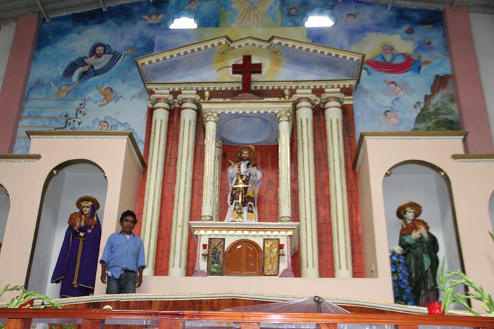 Ir a la Siguiente Foto