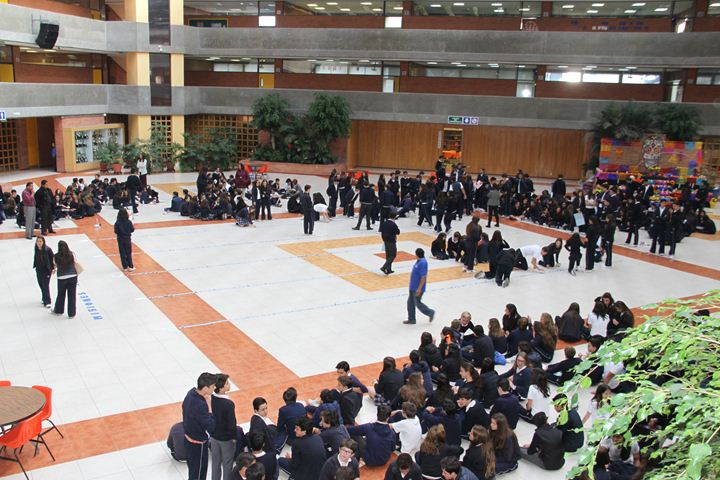 Ir a la Siguiente Foto