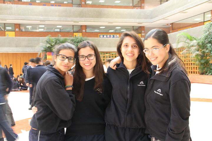 Ir a la Siguiente Foto