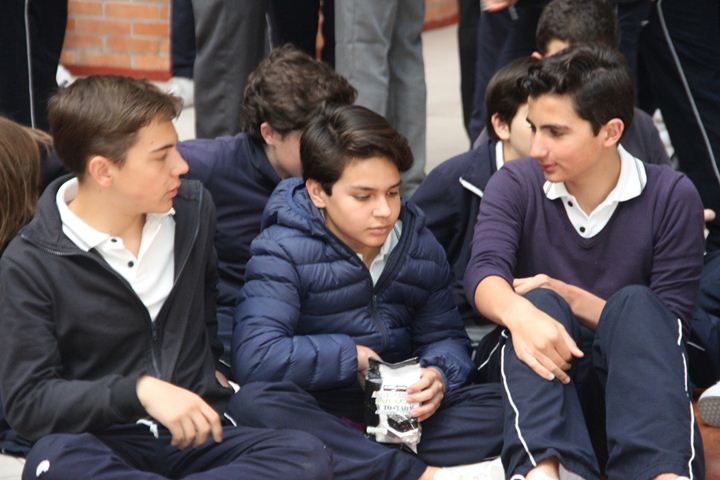 Ir a la Siguiente Foto