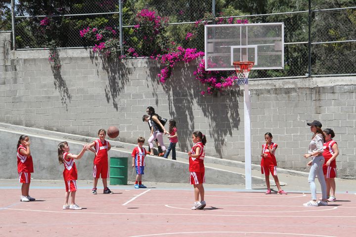 Ir a la Siguiente Foto