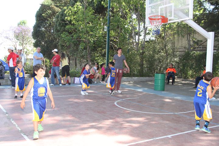 Ir a la Siguiente Foto