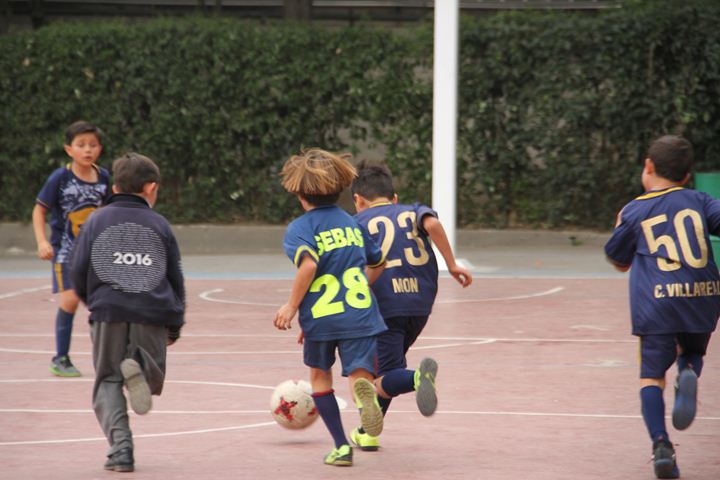 Ir a la Siguiente Foto