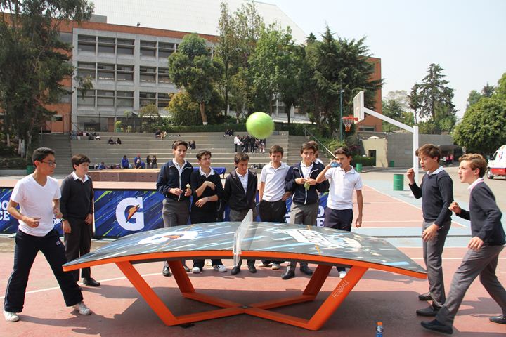 Ir a la Siguiente Foto