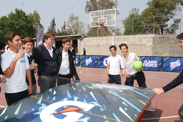 Ir a la Siguiente Foto