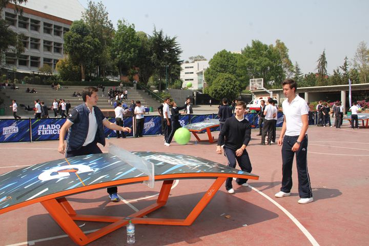 Ir a la Siguiente Foto