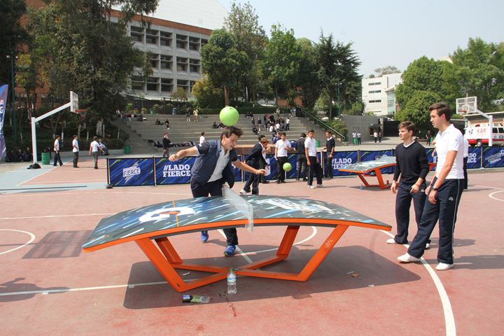 Ir a la Siguiente Foto