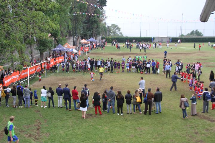 Ir a la Siguiente Foto