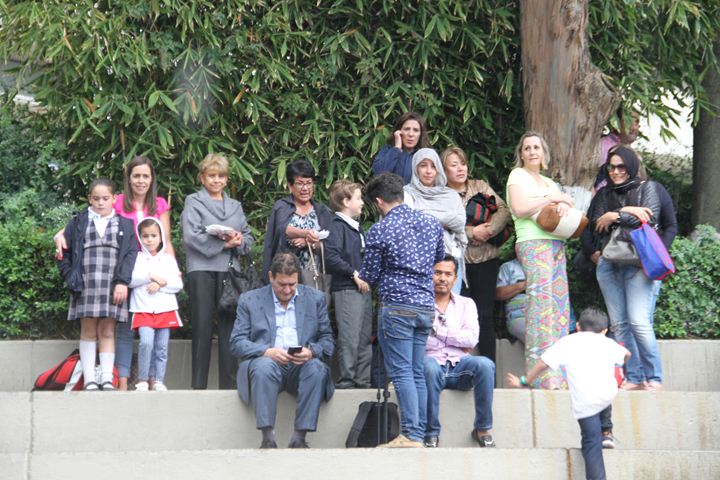 Ir a la Siguiente Foto