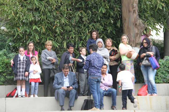 Ir a la Siguiente Foto