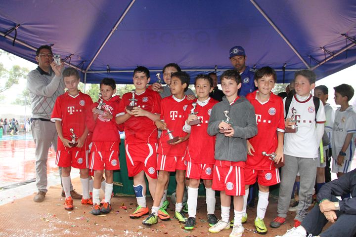 Ir a la Siguiente Foto