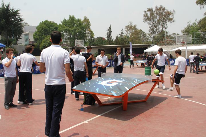 Ir a la Siguiente Foto