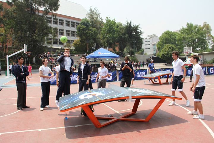 Ir a la Siguiente Foto