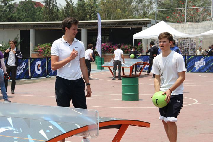 Ir a la Siguiente Foto