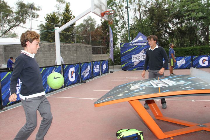 Ir a la Siguiente Foto