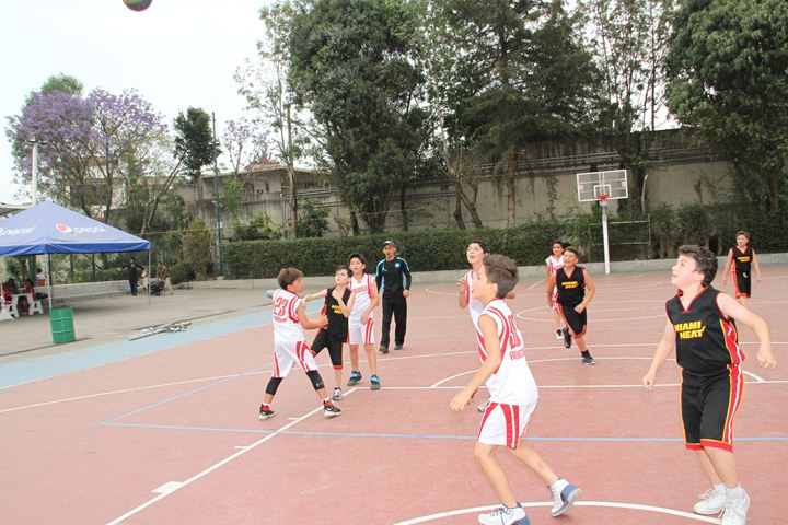 Ir a la Siguiente Foto