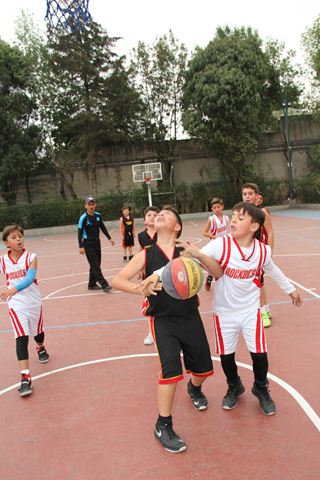 Ir a la Siguiente Foto