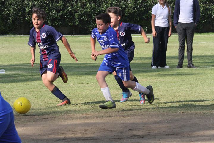 Ir a la Siguiente Foto