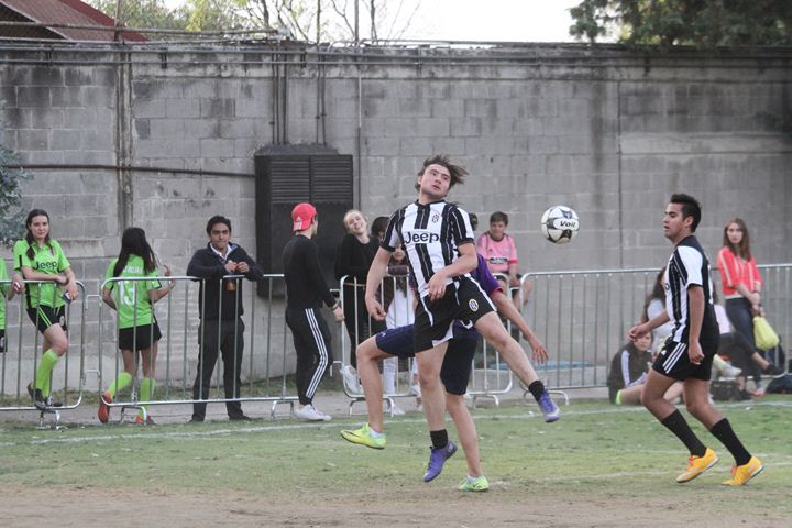 Ir a la Siguiente Foto