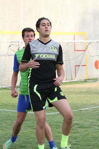 Ir a la Siguiente Foto