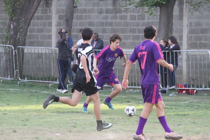 Ir a la Siguiente Foto