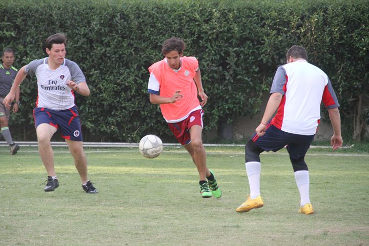 Ir a la Siguiente Foto