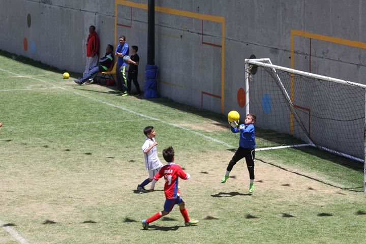 Ir a la Siguiente Foto