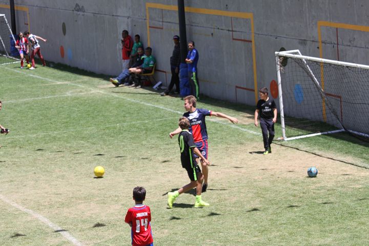 Ir a la Siguiente Foto