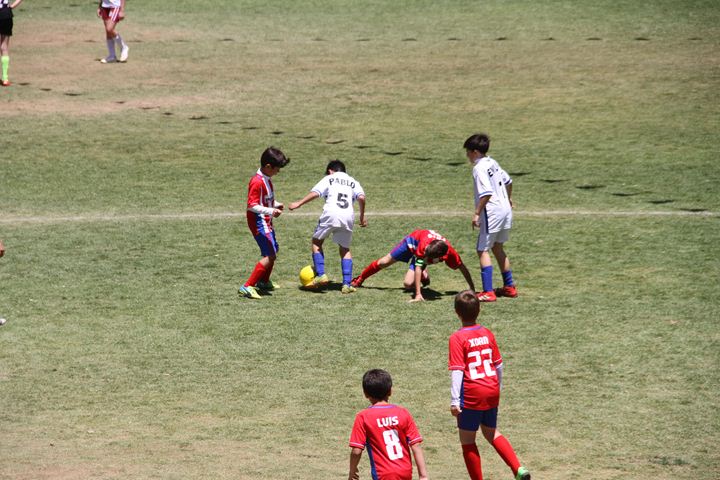 Ir a la Siguiente Foto