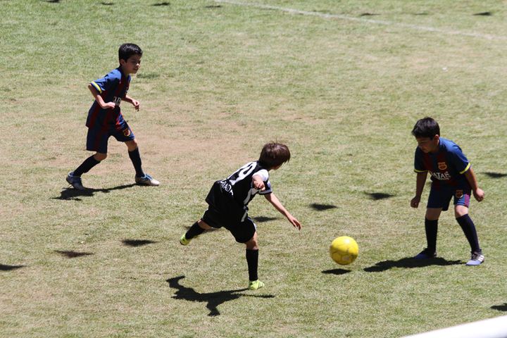 Ir a la Siguiente Foto