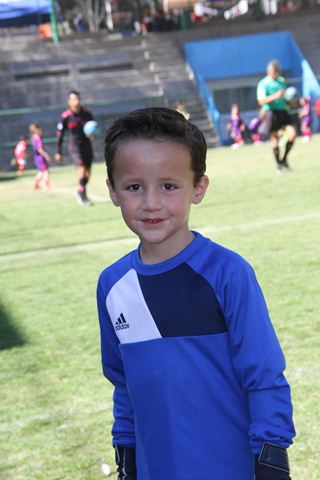 Ir a la Siguiente Foto