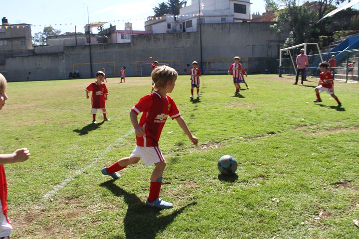 Ir a la Siguiente Foto