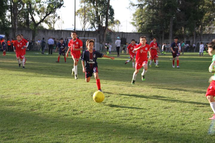 Ir a la Siguiente Foto