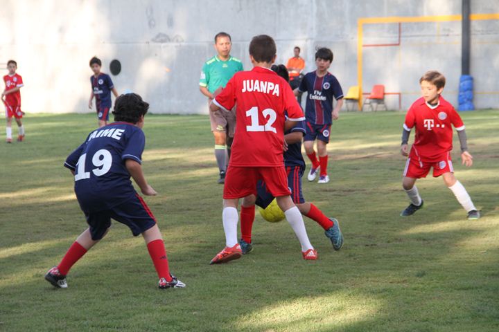 Ir a la Siguiente Foto