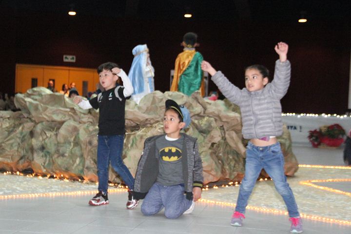 Ir a la Siguiente Foto