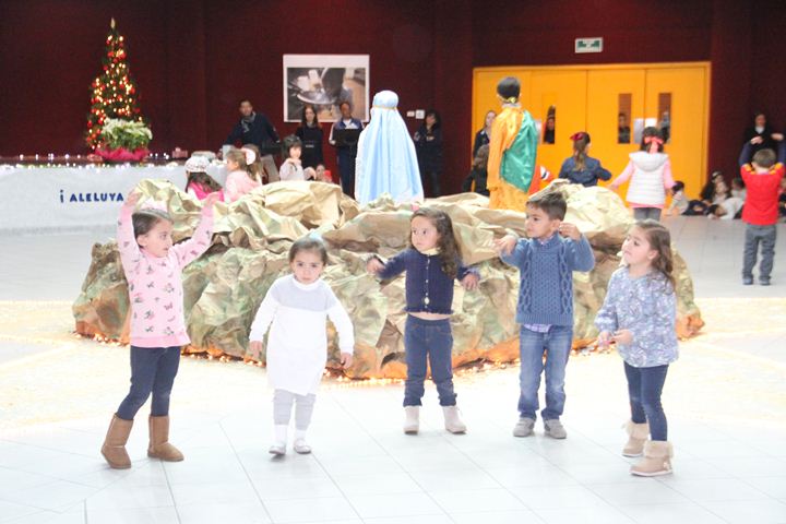 Ir a la Siguiente Foto