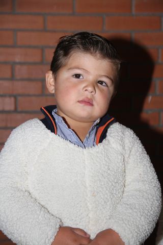 Ir a la Siguiente Foto