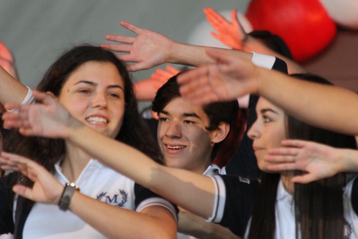 Ir a la Siguiente Foto