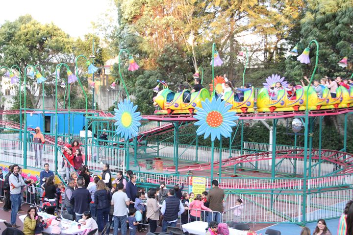 Ir a la Siguiente Foto