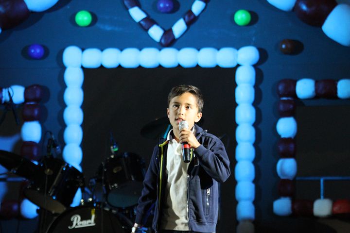 Ir a la Siguiente Foto