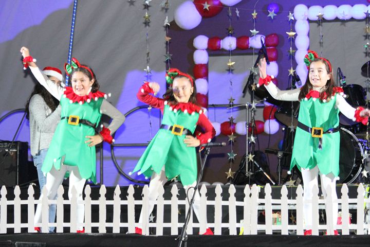 Ir a la Siguiente Foto