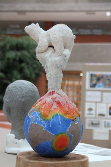 Ir a la Siguiente Foto