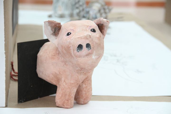 Ir a la Siguiente Foto