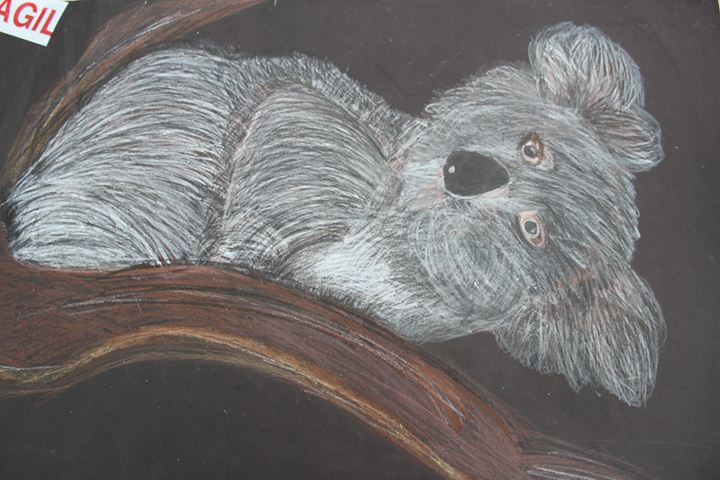 Ir a la Siguiente Foto