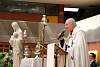 cardenal2017019.jpg
