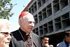 cardenal2017480.jpg