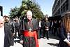 cardenal2017482.jpg