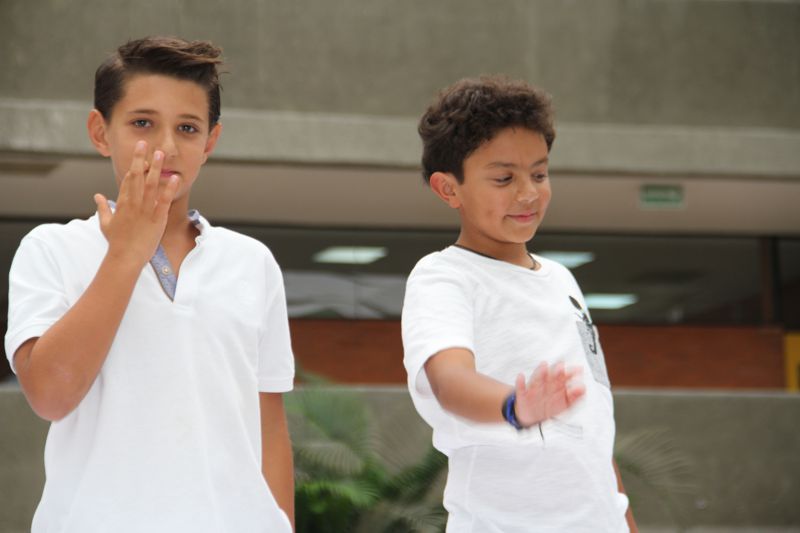 Ir a la Siguiente Foto